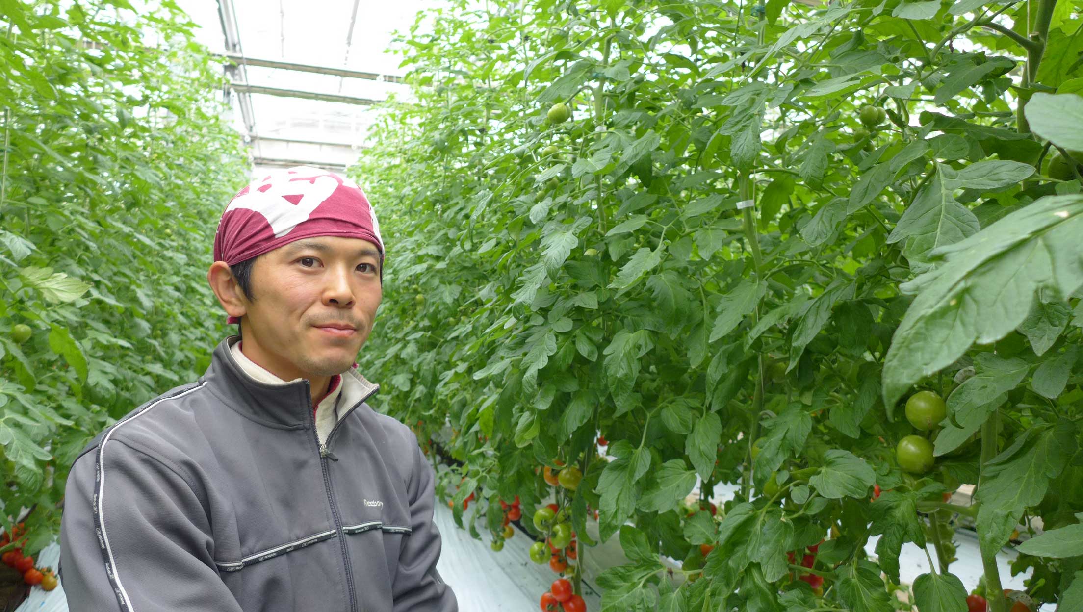 「トマトらしいトマト、それがカンパリトマトです」山本温室園 - 山本　泰隆さん